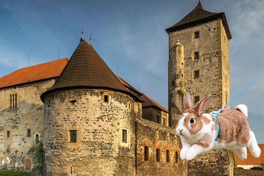 Parádní velikonoční výlet? Na Švihově se chystá králičí hop, dílničky s Popelkou i tajemná camera obscura