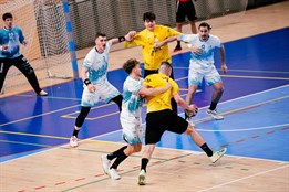 Házenkářská bašta v novém. Novou moderní halu na Borských polích do správy Talent Plzeň