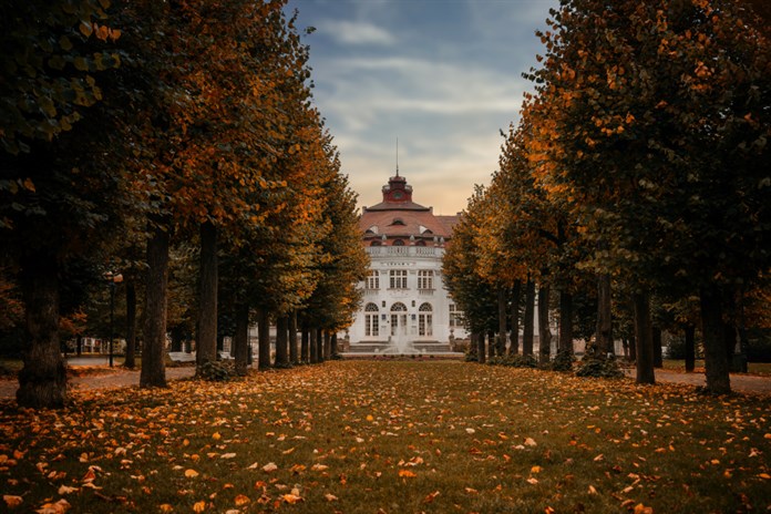 Alej ve Smetanových sadech.