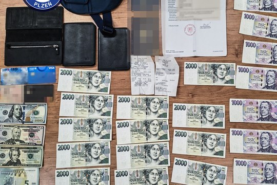 Nález roku? Ledvinka plná peněz se v Plzni vrátila majiteli