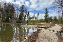 Ovčí rybník je po rekonstrukci: Karlovy Vary mají novou oázu s dřevěnými chodníčky a tůněmi
