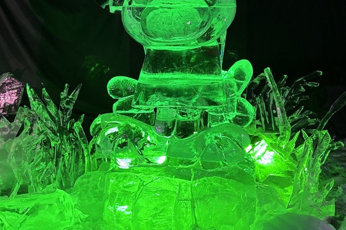 Rákosníček z ledu