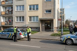 Drama v Plzni na Vinicích: Policie vnikla do bytu a našla mrtvý pár!