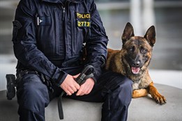 Noční drama u kolejí. Policejní pes Gambit zachránil muže, který...