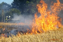 Plzeňský kraj v plamenech. Škody za rok 2025 lámou patnáctileté rekordy, ukázaly statistiky