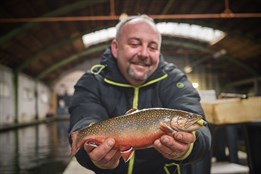 Rybaření místo tabletu: V Plzni můžete dětem dopřát úlovek v historických sádkách