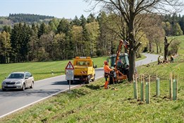 Silničáři v Plzeňském kraji zahájili údržbu zeleně, žádají řidiče o ohleduplnost