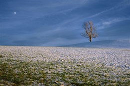 Zimní bundy neuklízejte, auta nepřezouvejte: Meteorologové varují před prudkým ochlazením v příštím týdnu. Na sníh dojde možná i v nižinách