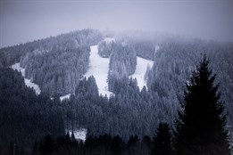 Šumavský rys se vrací. Skialpový den na Špičáku nabídne testování...