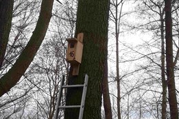 Ptačí mláďata i souboj s divočáky: Božkovský ostrov se po zimě probudil do krásy