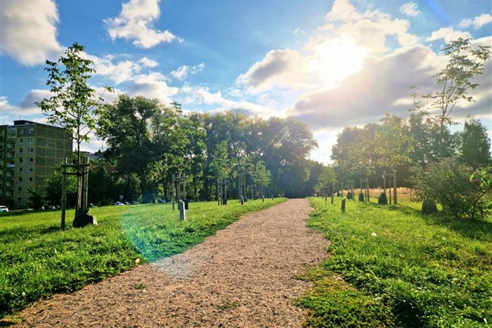 Studentská alej a Stromokruh v Sokolově.