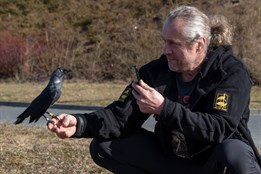 Záchranářské krimi: Slepá kavka „Kevina“ se vrátila domů a orlice z Francie převezla vědce