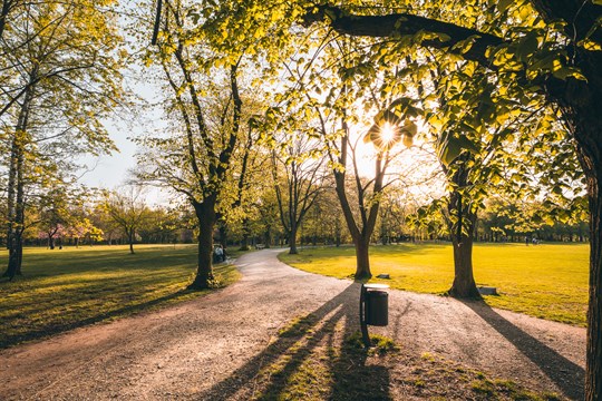 Borský park ožije: Přijďte s dětmi probudit les, otevřít řeky a potkat sokolníka