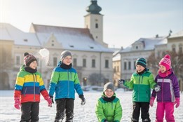 Jarní prázdniny jako recept na chřipku? Na Klatovsku a Rokycansku padla nemocnost o pětinu