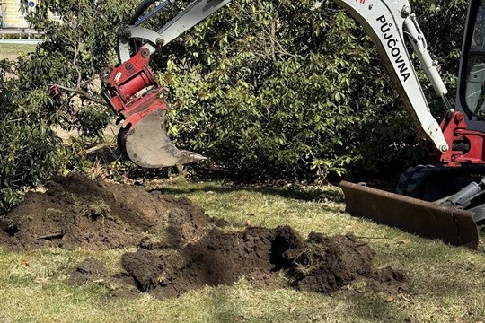 Městské sady se opět zelenají. Františkovy Lázně vysazují 25 vzrostlých stromů